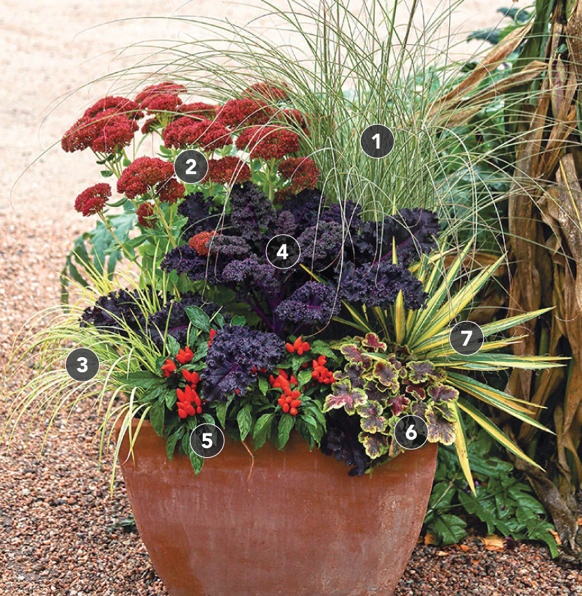 7 Planting Tips for Large Garden Pots