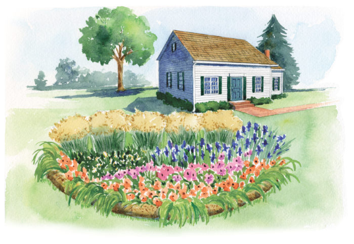 Create a Rain Garden