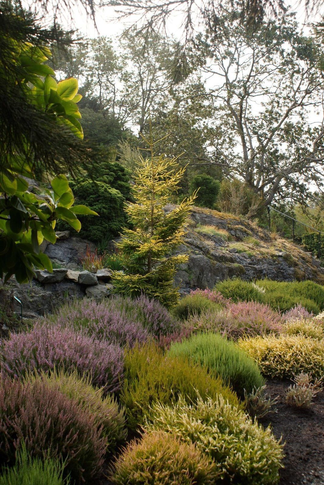 Gardens At Government House Victoria - Why You Should Visit