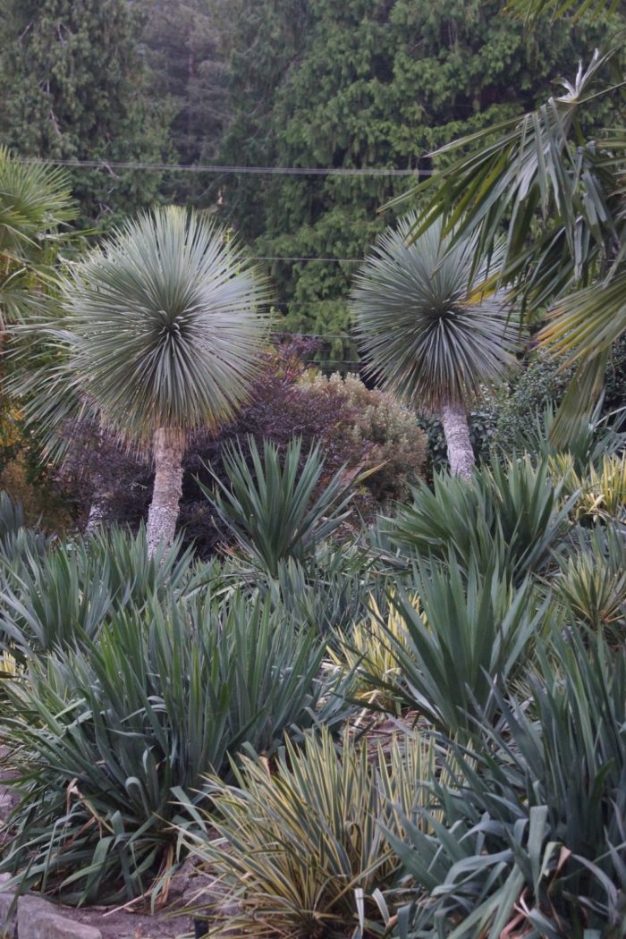 Inspiration From a Mediterranean Garden - Fine Gardening