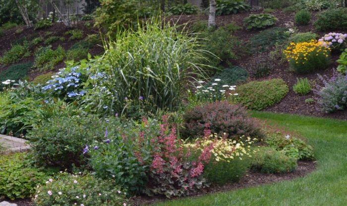 Making a Garden That Takes the Drought - Fine Gardening