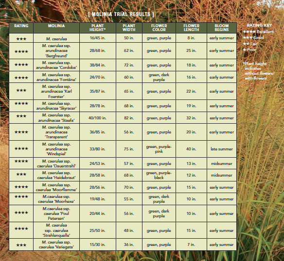 molinia trial results