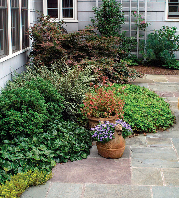 A Fresh Approach to Foundation Plantings FineGardening