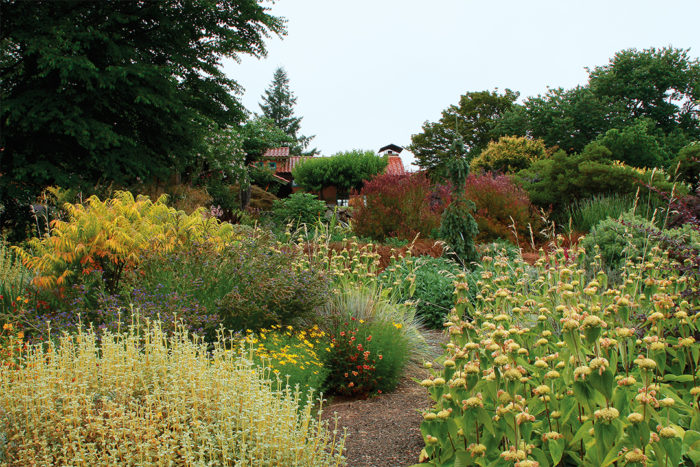 Lower plantings in the center of the garden with a weeping Norway spruce to draw the eye toward the surrounding landscape