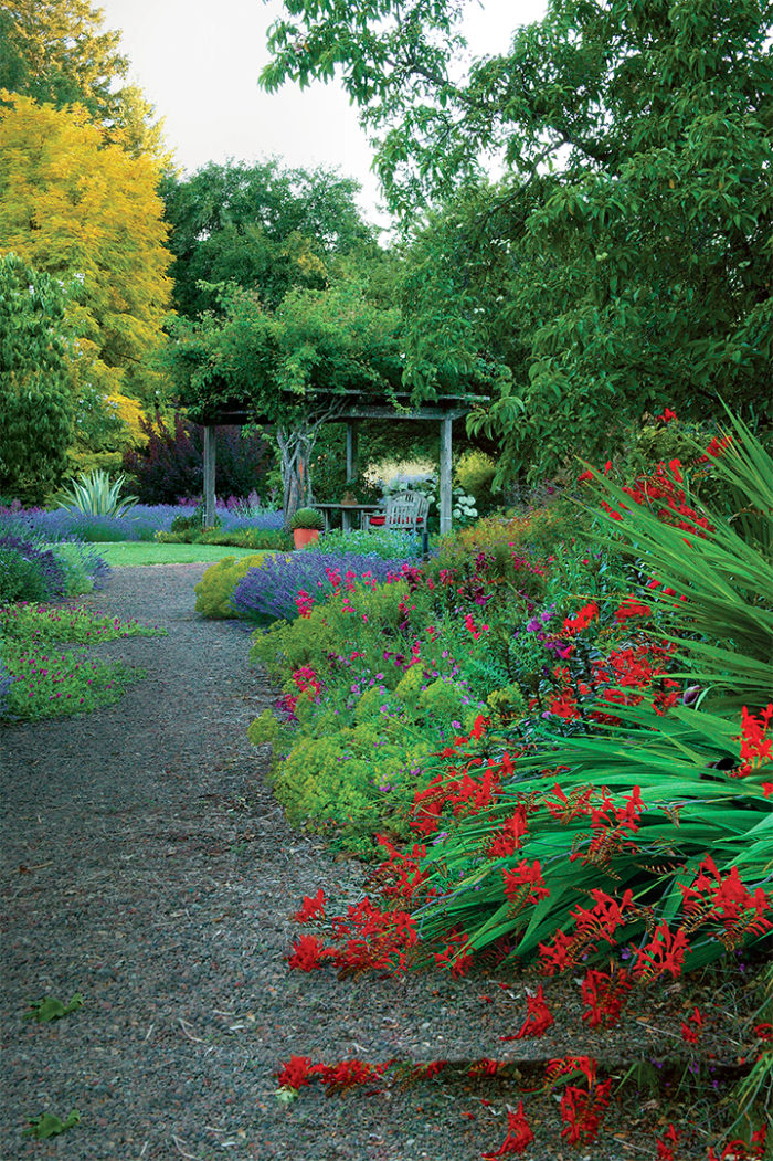 colorful plants spilling onto the paths and beds