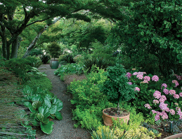 a meandering path with a potted plant at the end as a focal point