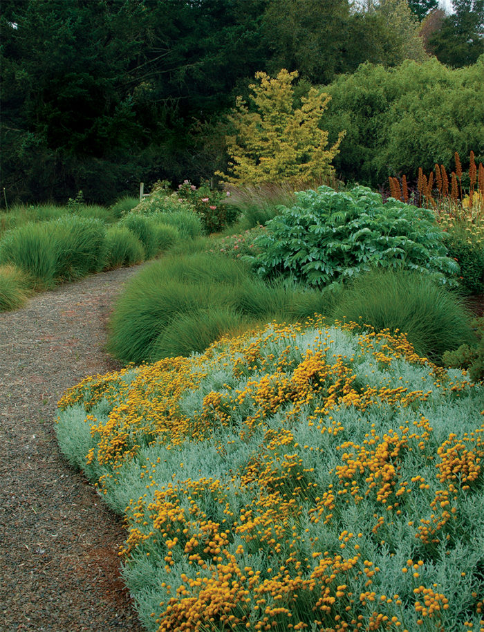 colorful yellow and green plantings along the path