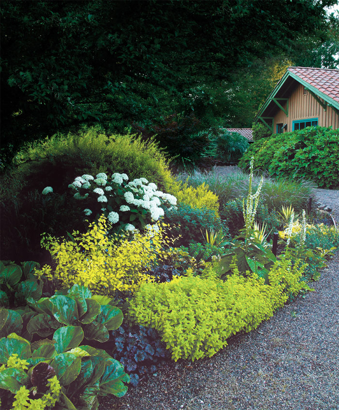 colorful plantings of purple, yellow, white and green on the softly curved path leading to the house