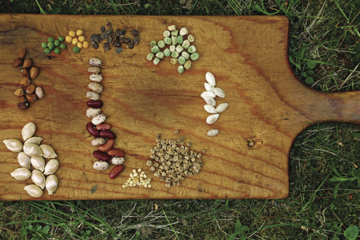 Display of several seeds on a wooden board