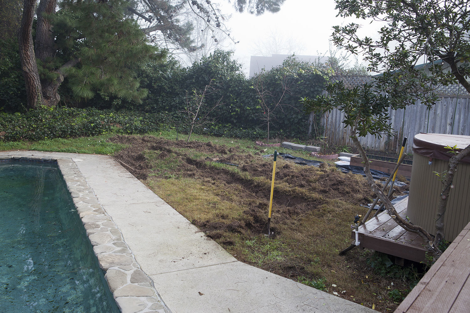 Digging down a foot in clay soil that was riddled with crab grass