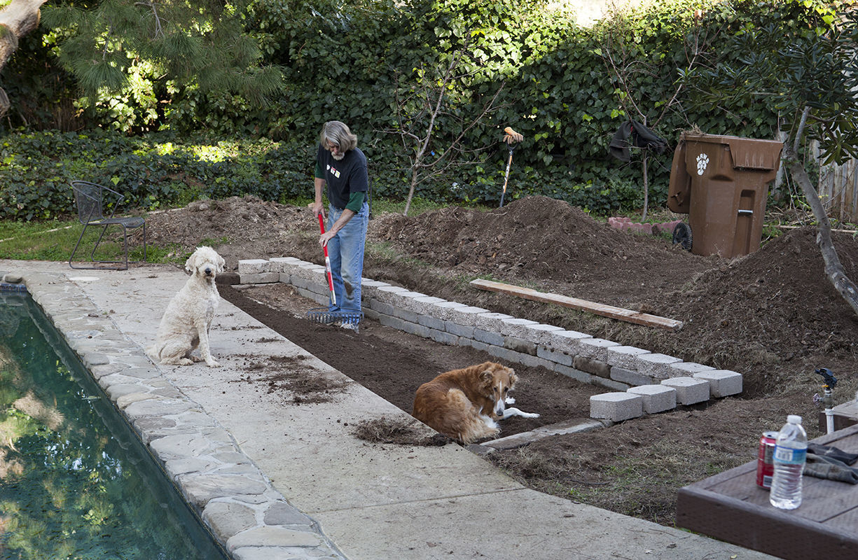 Bags of compost and manure and blended it all with the native clean soil