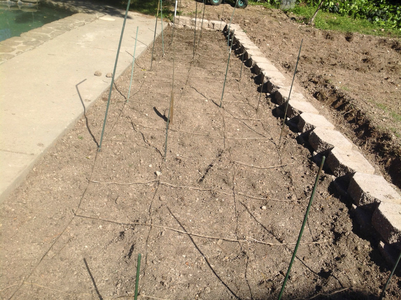 Bamboo sticks used as a grid 