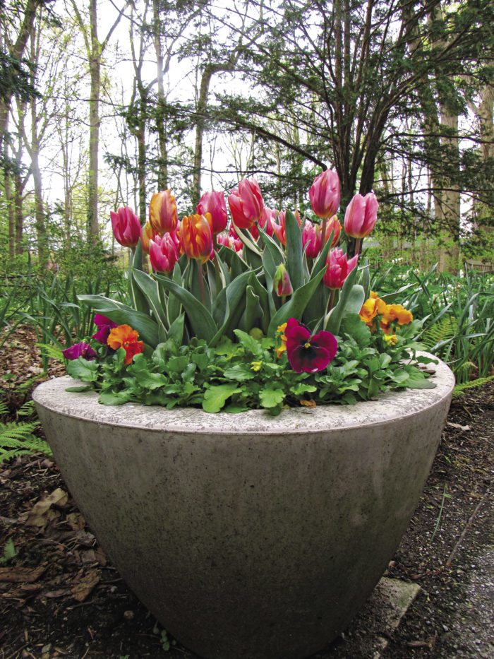 spring container with bulbs