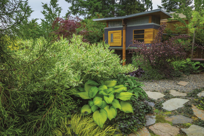 pavers, green plants and shrubs with a building in the background