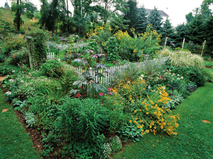 Overflowing Vegetable and Flower Garden