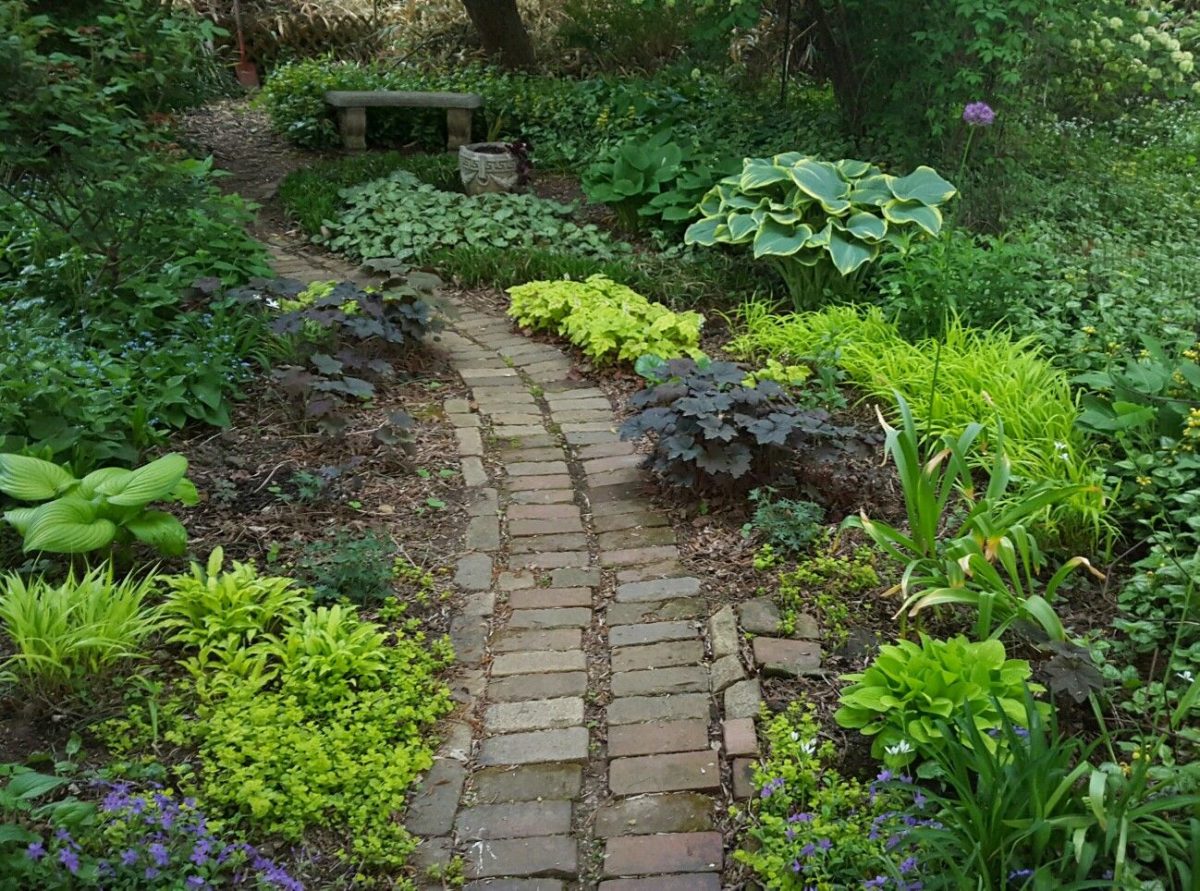 Big Garden, Small Space: Part 1 - Fine Gardening