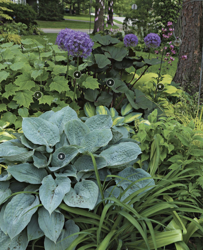 Artfully combined foliage shapes contribute intriguing texture to this lush display, and sweet summer bulbs add a touch of color