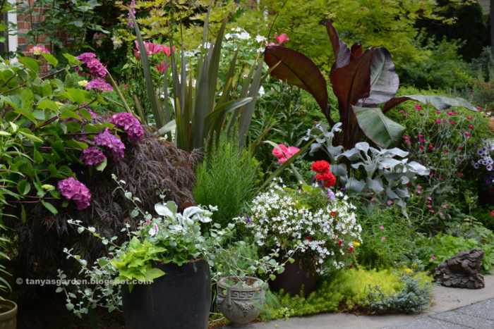 A Front Bed Looking Its Best - Fine Gardening