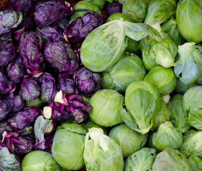 Seed to Fork - Fine Gardening