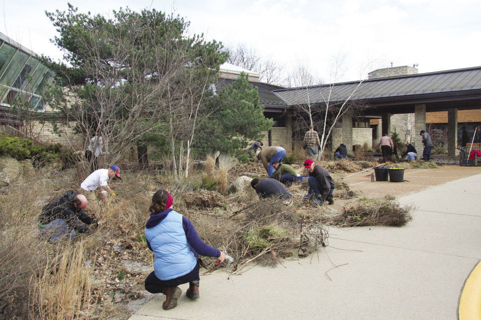 people maintaining the gravel garden in Spring