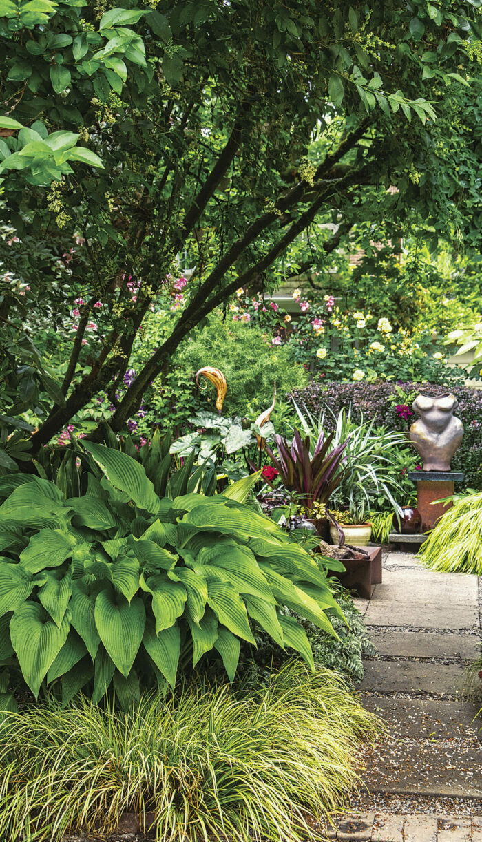 a tree, hosta, and ornamental grass planting along a path