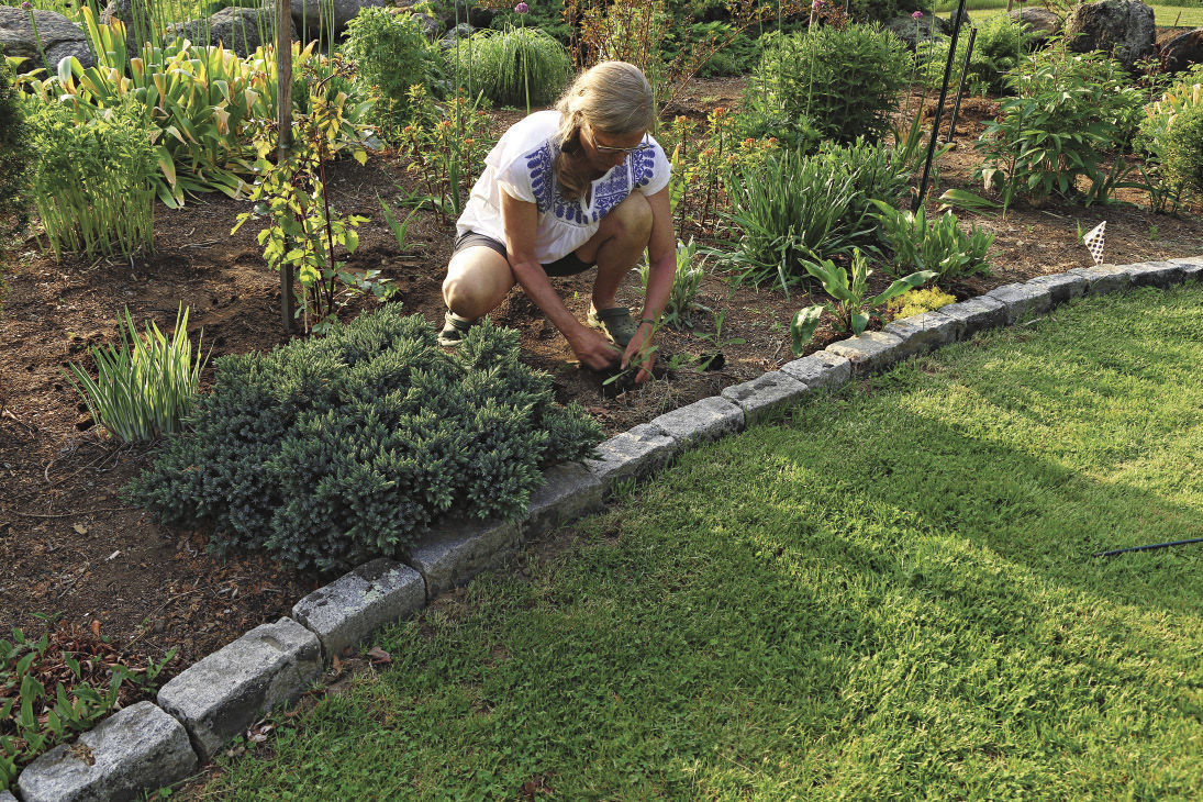 Woman planting inside the border