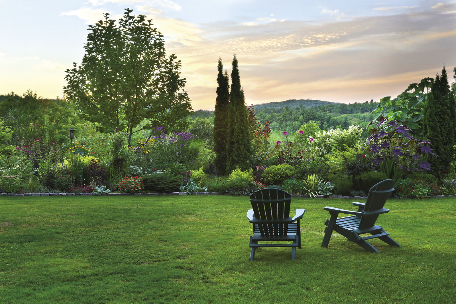 Adirondack chairs placed on the lawn to view the trees and shrubs that tie the design together.