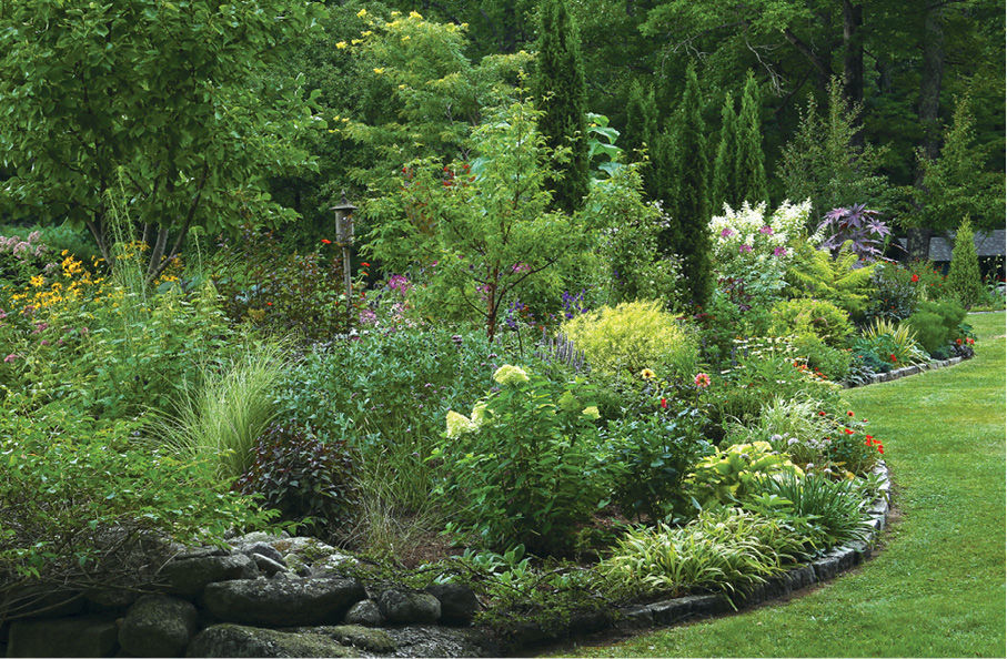 plants with chartreuse and bronze foliage are strategically placed throughout the border to intensify the effect of colorful blooms.