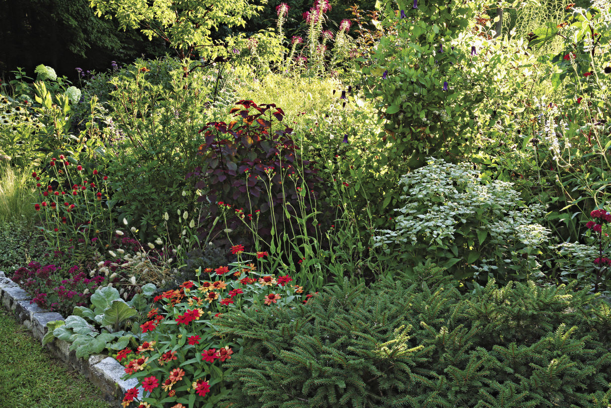 The front of the border with low-growing shrubs and perennials mingling with smaller annuals. and dwarf conifers 