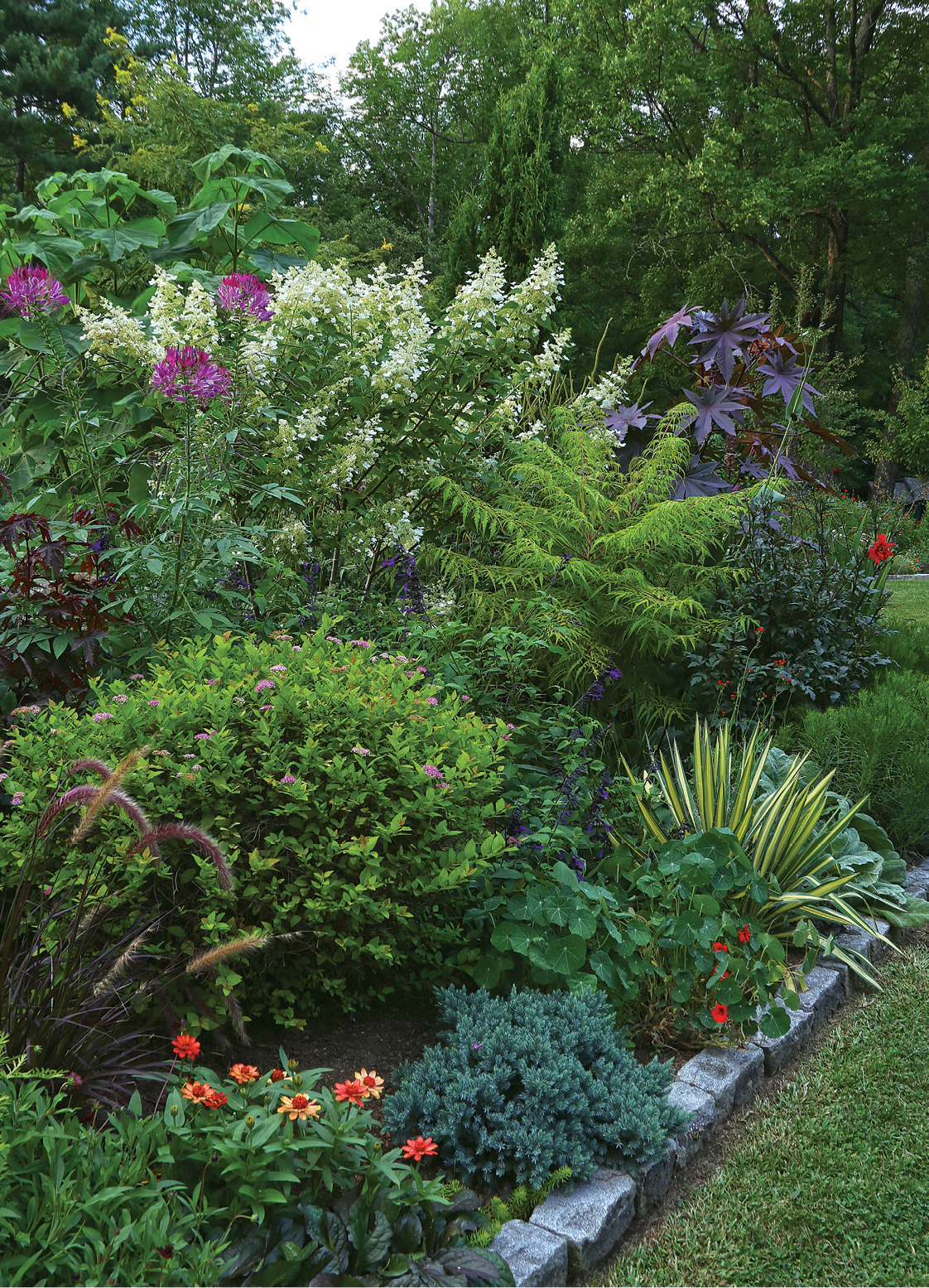 side view of various plants in the garden border