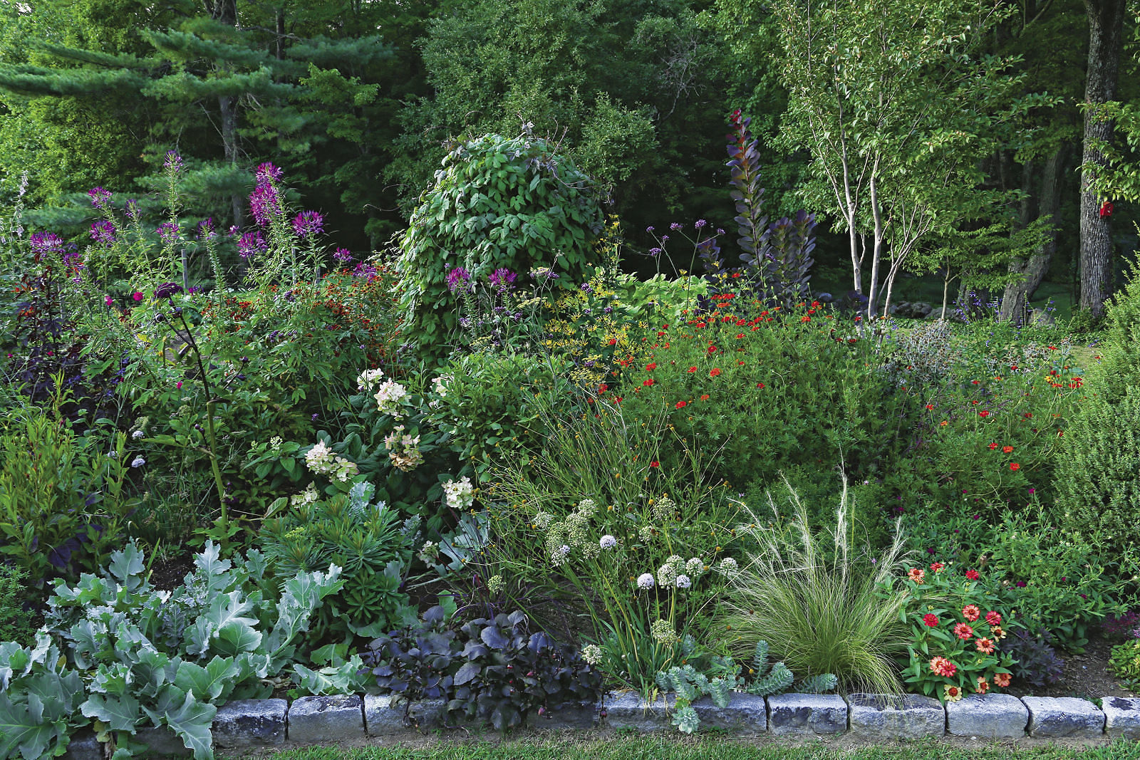 front view of the various plants in the garden border