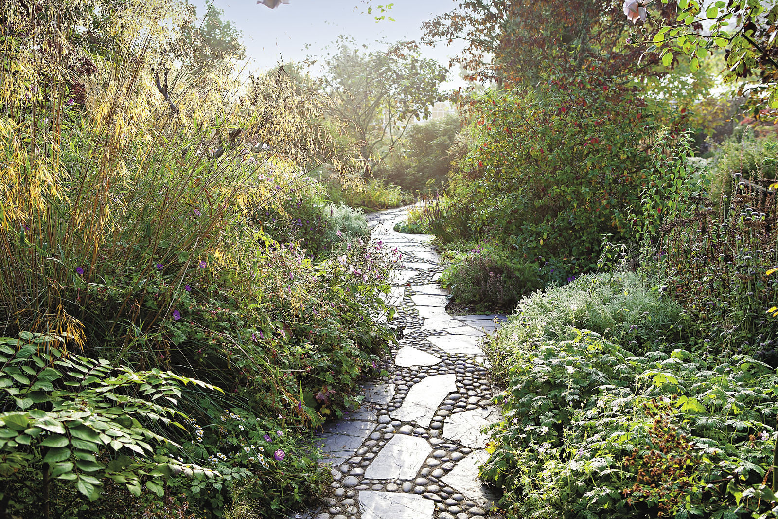 laid back stone walkway through loose natural plantings