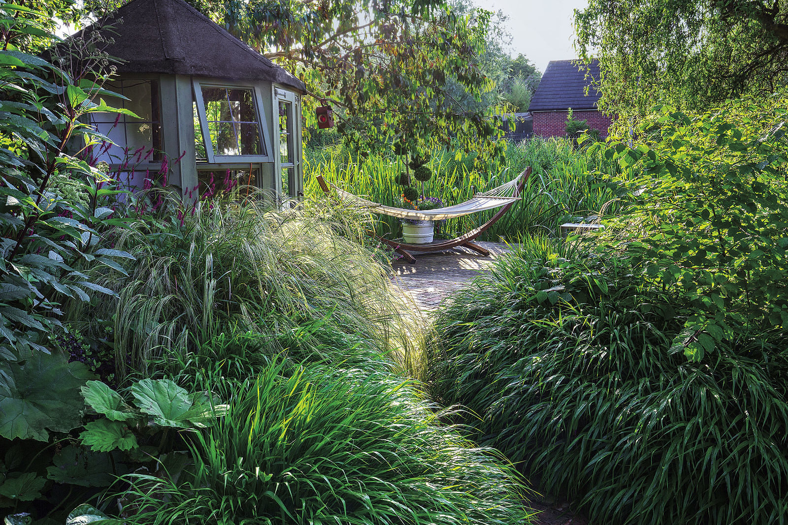 secluded shaded area with calming plants and a hammock