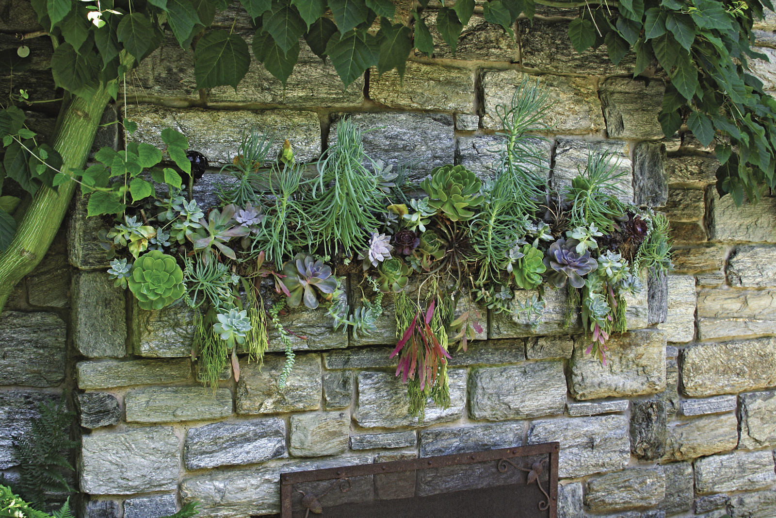 planting shelf on a stone wall with succulents