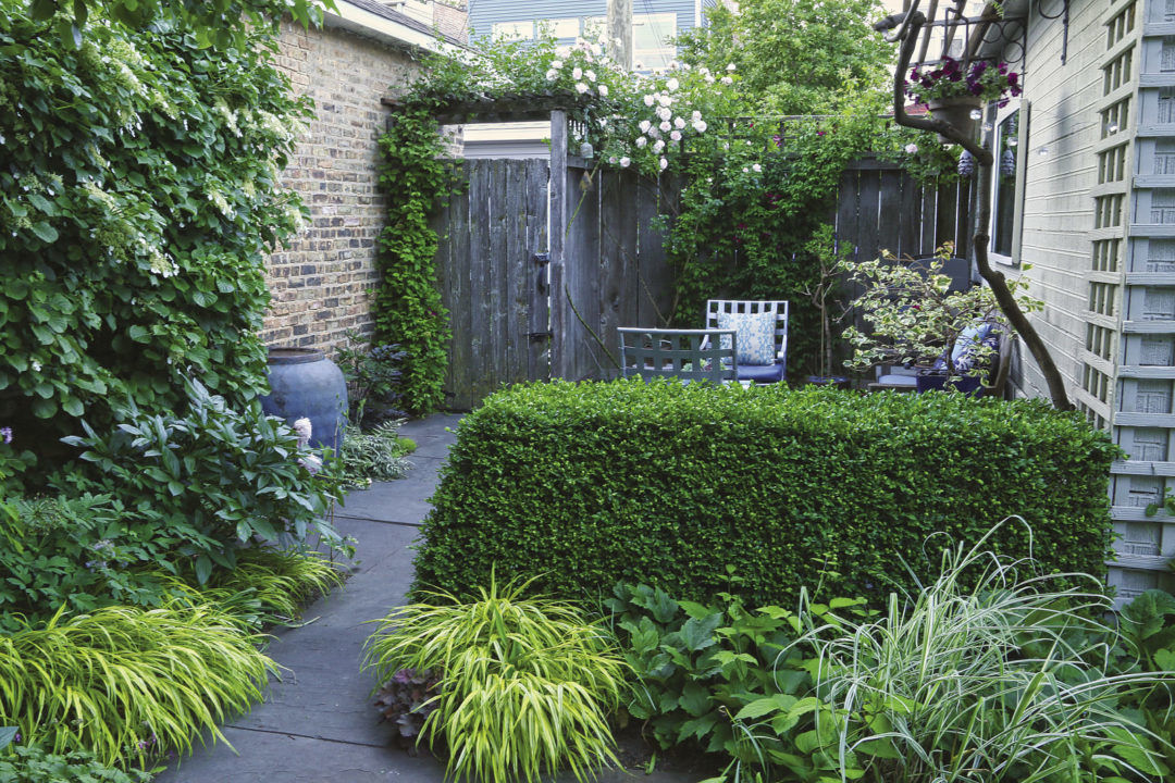 pathway to one of the patios, bordered by plants and shrubs