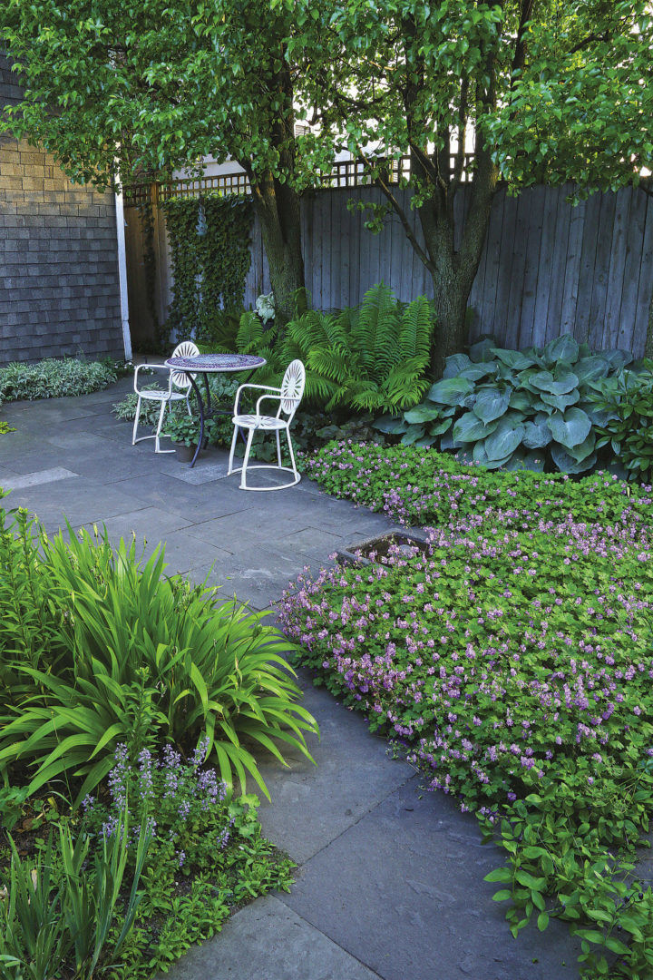  Billowing clouds of ‘Karmina’ geranium give the garden impact and blur the line where the beds end and the patio begins.