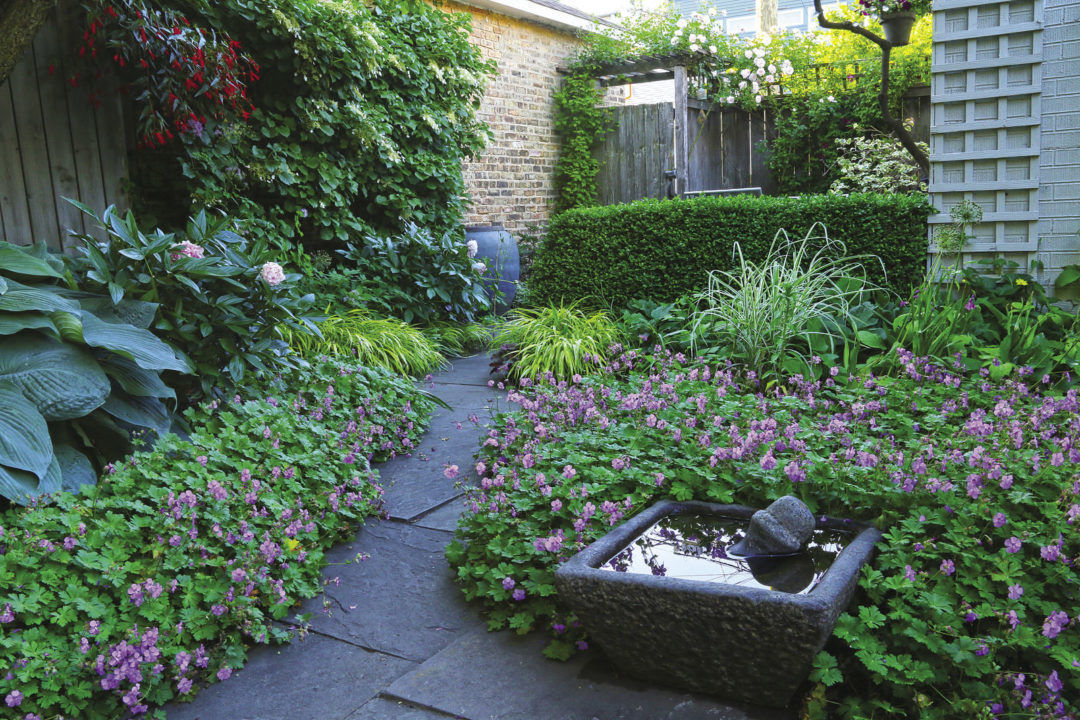 Water features, arbors, and decorative gates are just a few things that this small courtyard manages to pack in without sacrificing a space for the all-important plants .