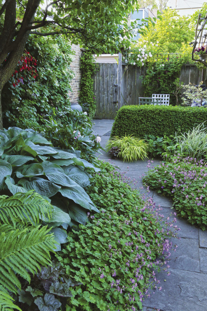 A sizable border along one property line provides enough space for big, bold plants and swaths of massed perennials