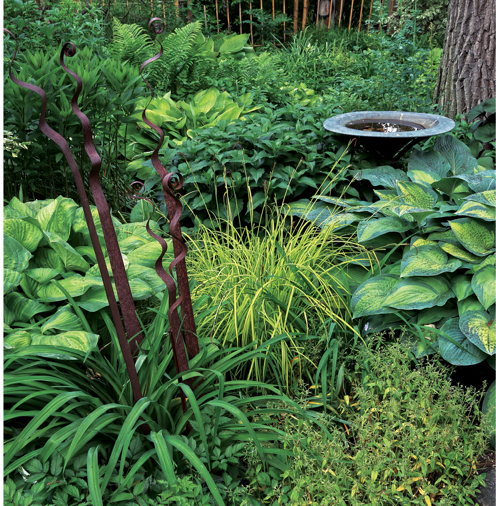 An understated birdbath and playful iron “fronds” act as focal points in this foliage-based composition