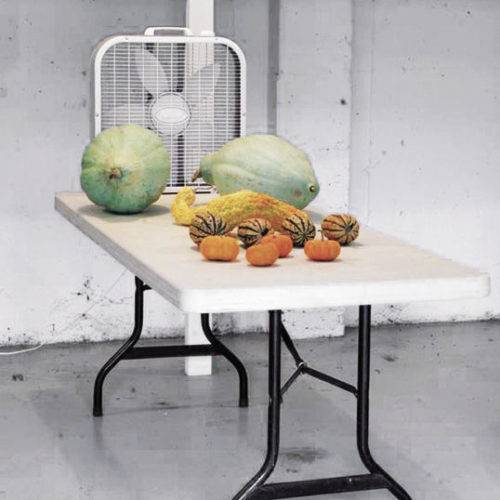 various squash on a table