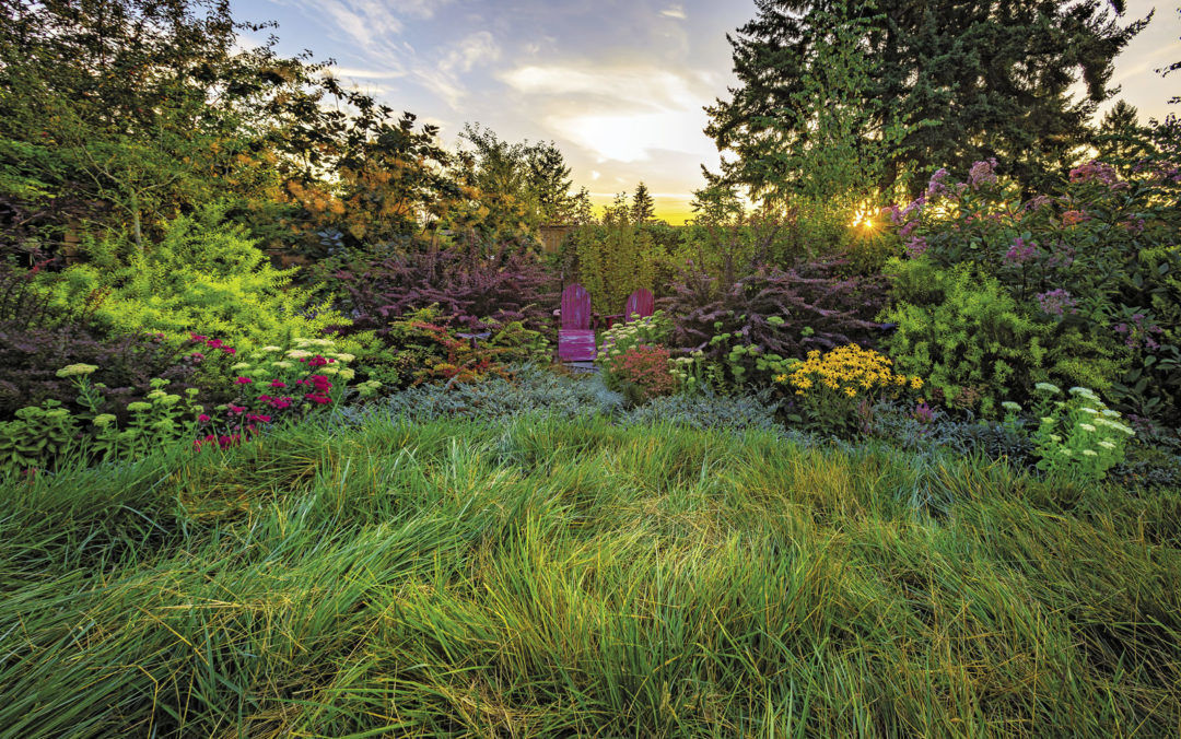 Nestled at the back of the small garden, this seating area feels like its own little world.