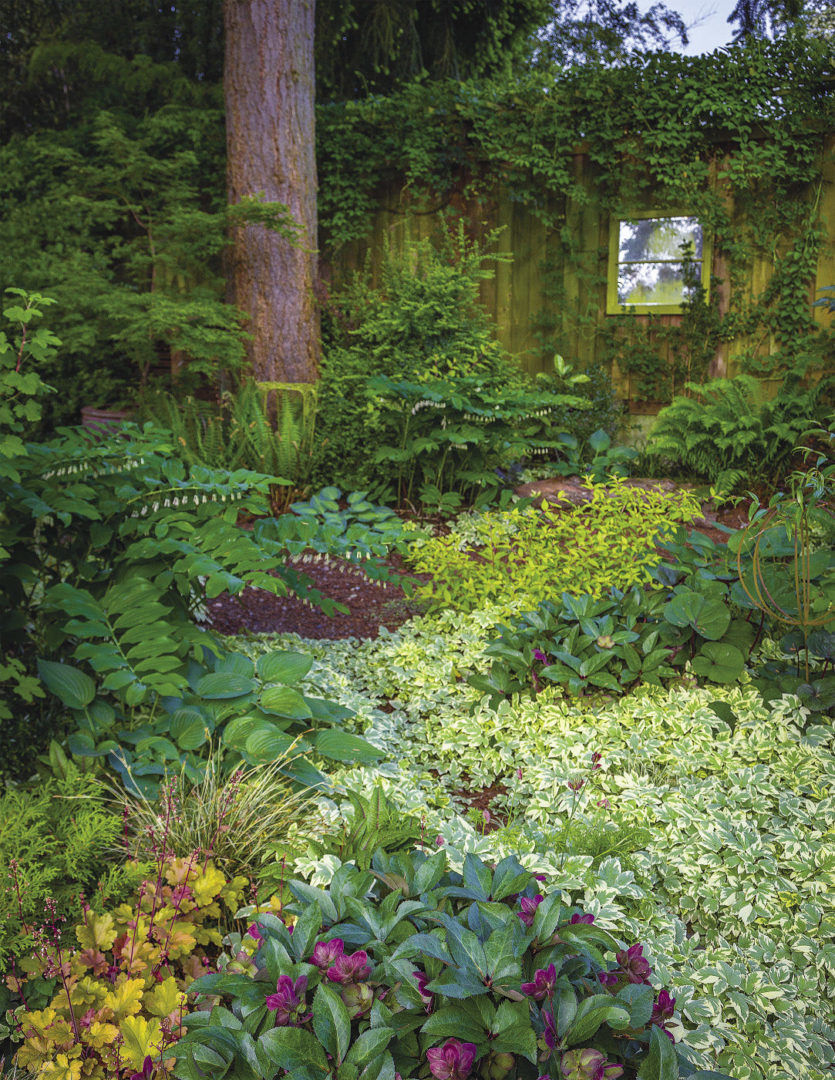 The way the plants seem to be slowly swallowing the fence and mirror only adds to the soft, quiet mood of the space.