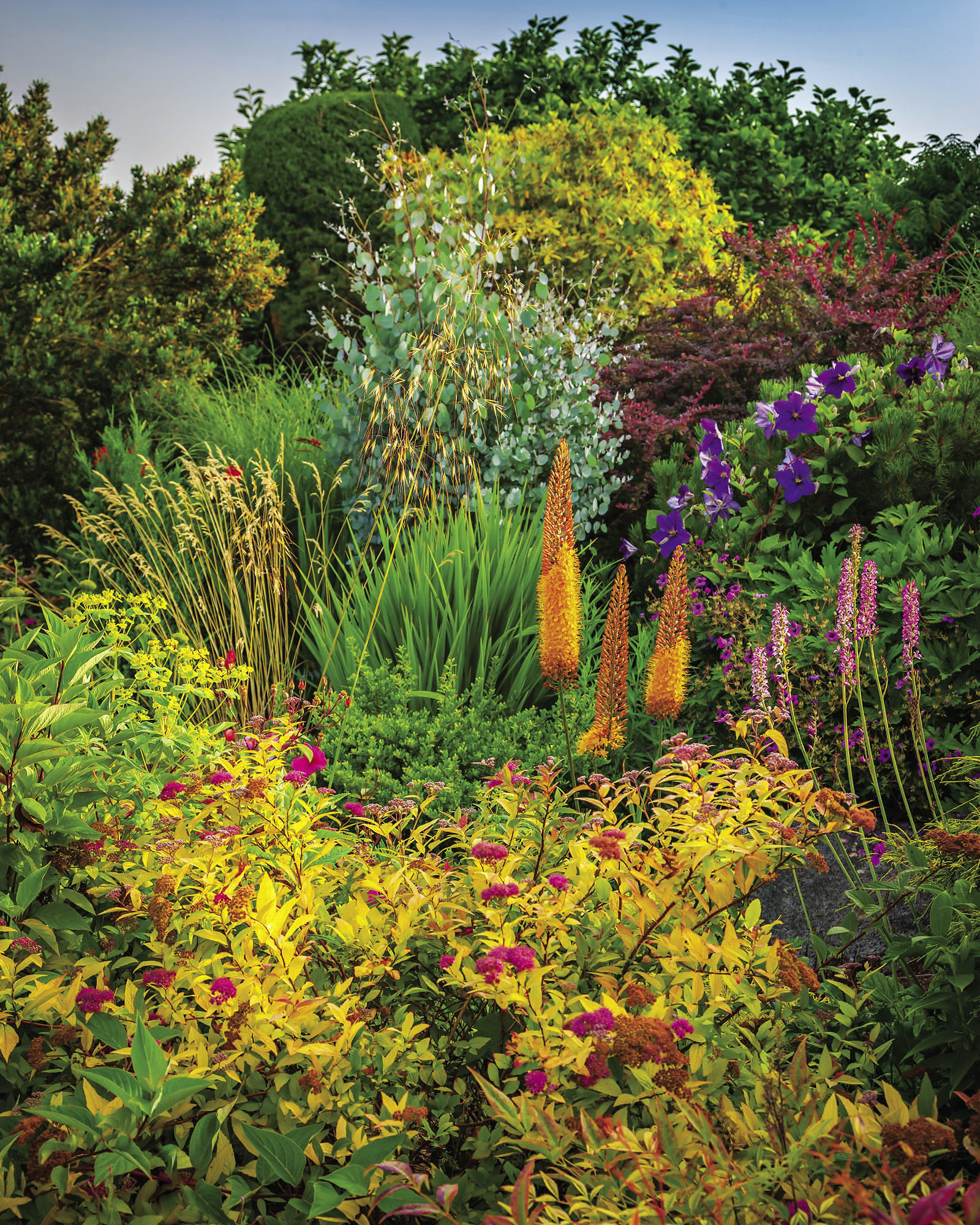 A grouping of colorful plants of various sizes