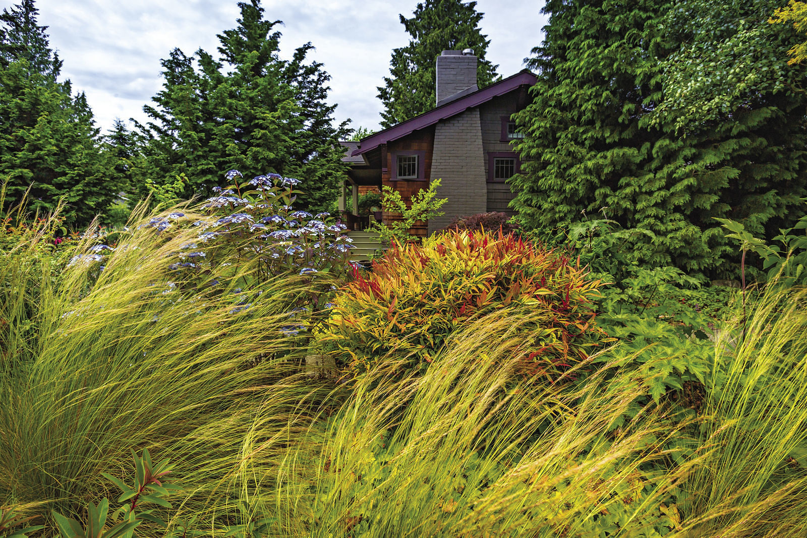 Blurred swaying grasses, showing their sense of movement.