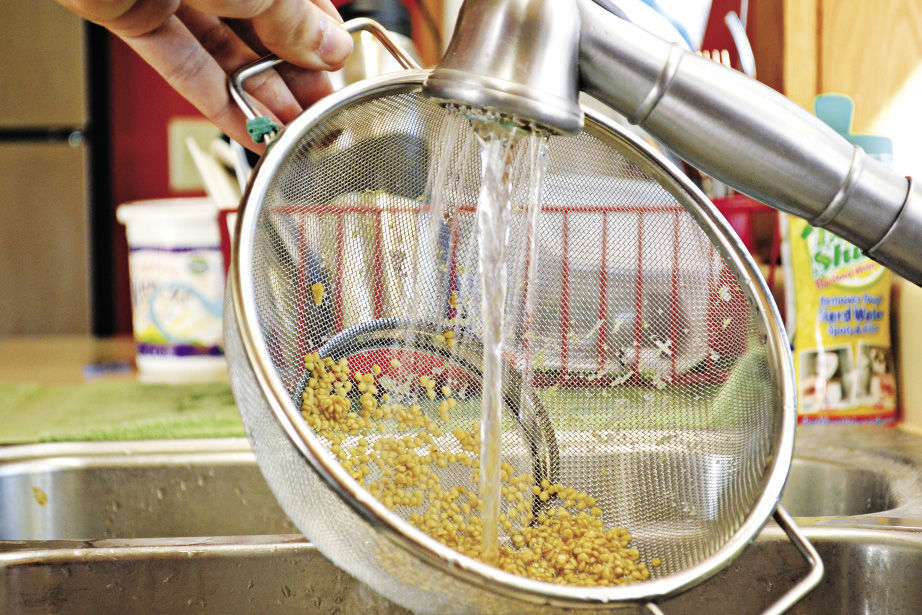 rinsing seeds in the sink with a colander