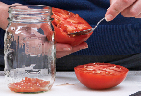 Scooping seeds out of a tomato half, next to a glass jar with some seeds and pulp already in it