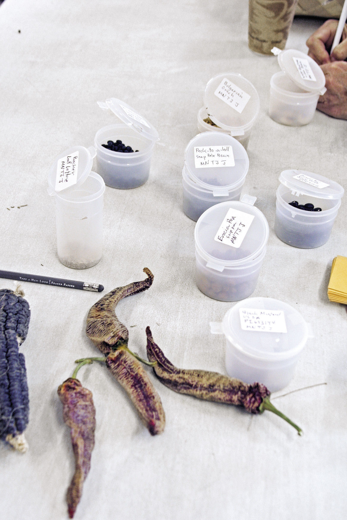 seeds stored and labeled in containers