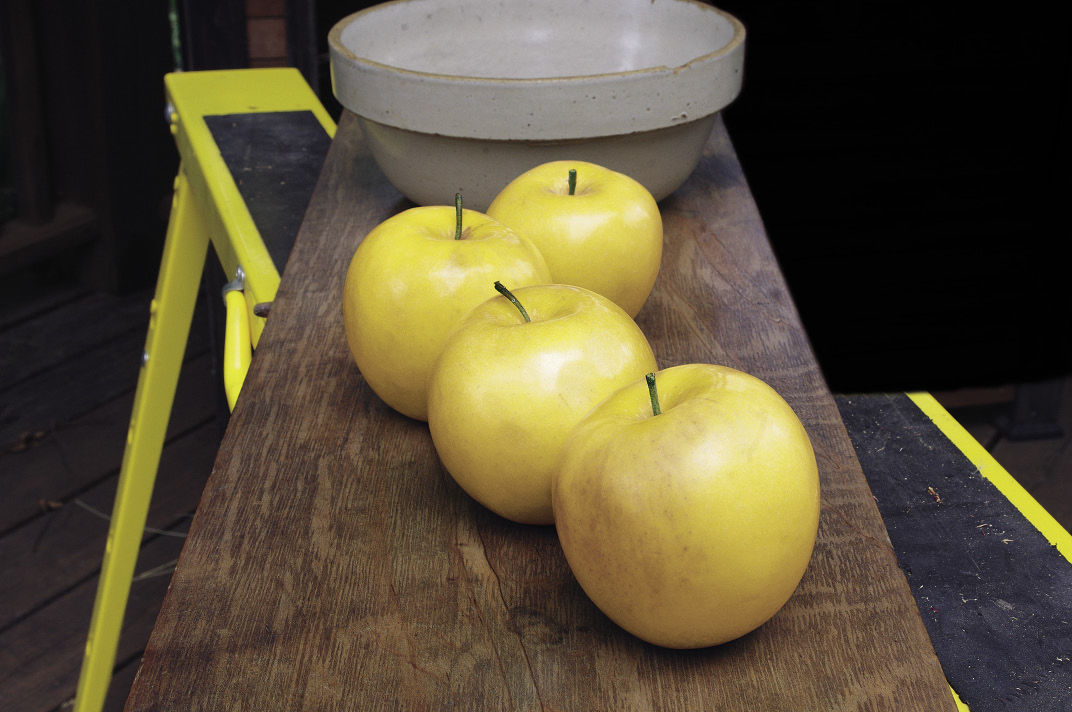 Apple Varieties for Delicious Homegrown Apples