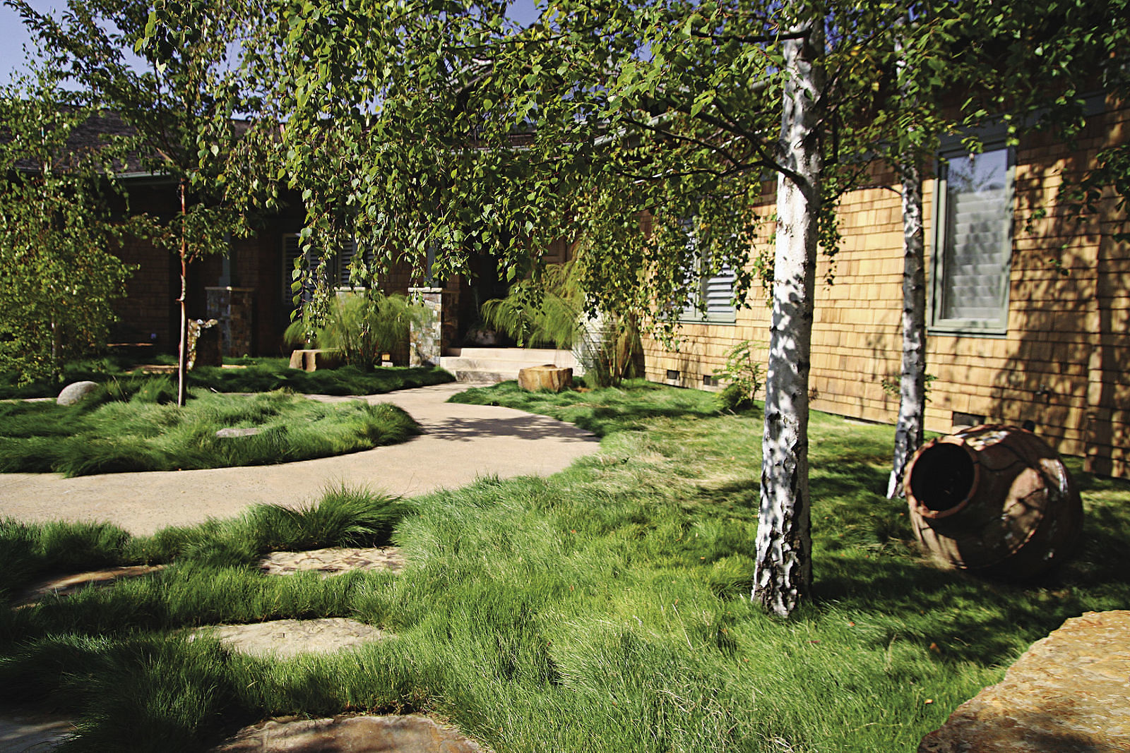 A no-mow fescue lawn offers lush texture with less maintenance