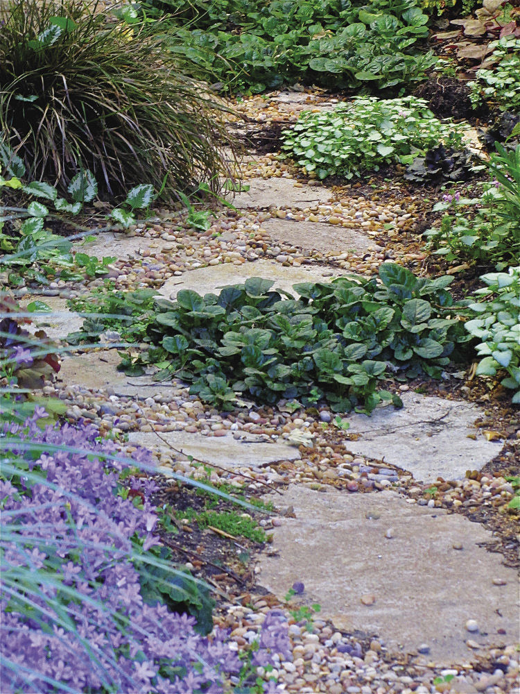 Loosely planted ground covers look great between pavers